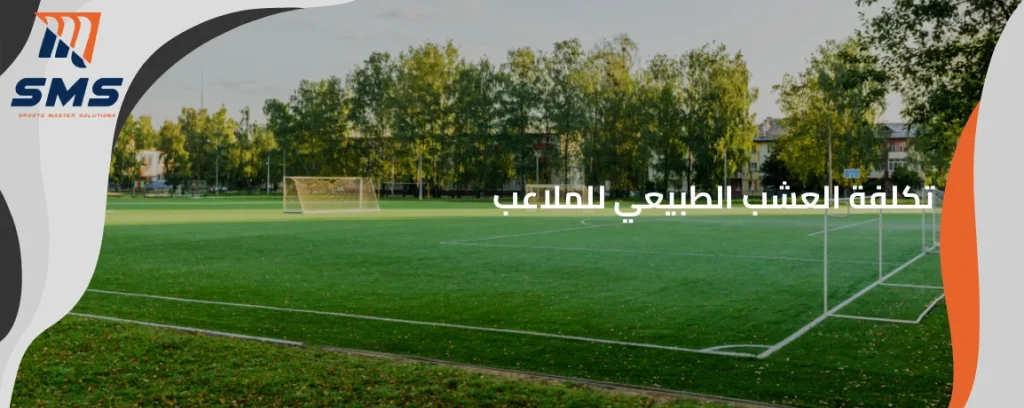 تكلفة العشب الطبيعي للملاعب